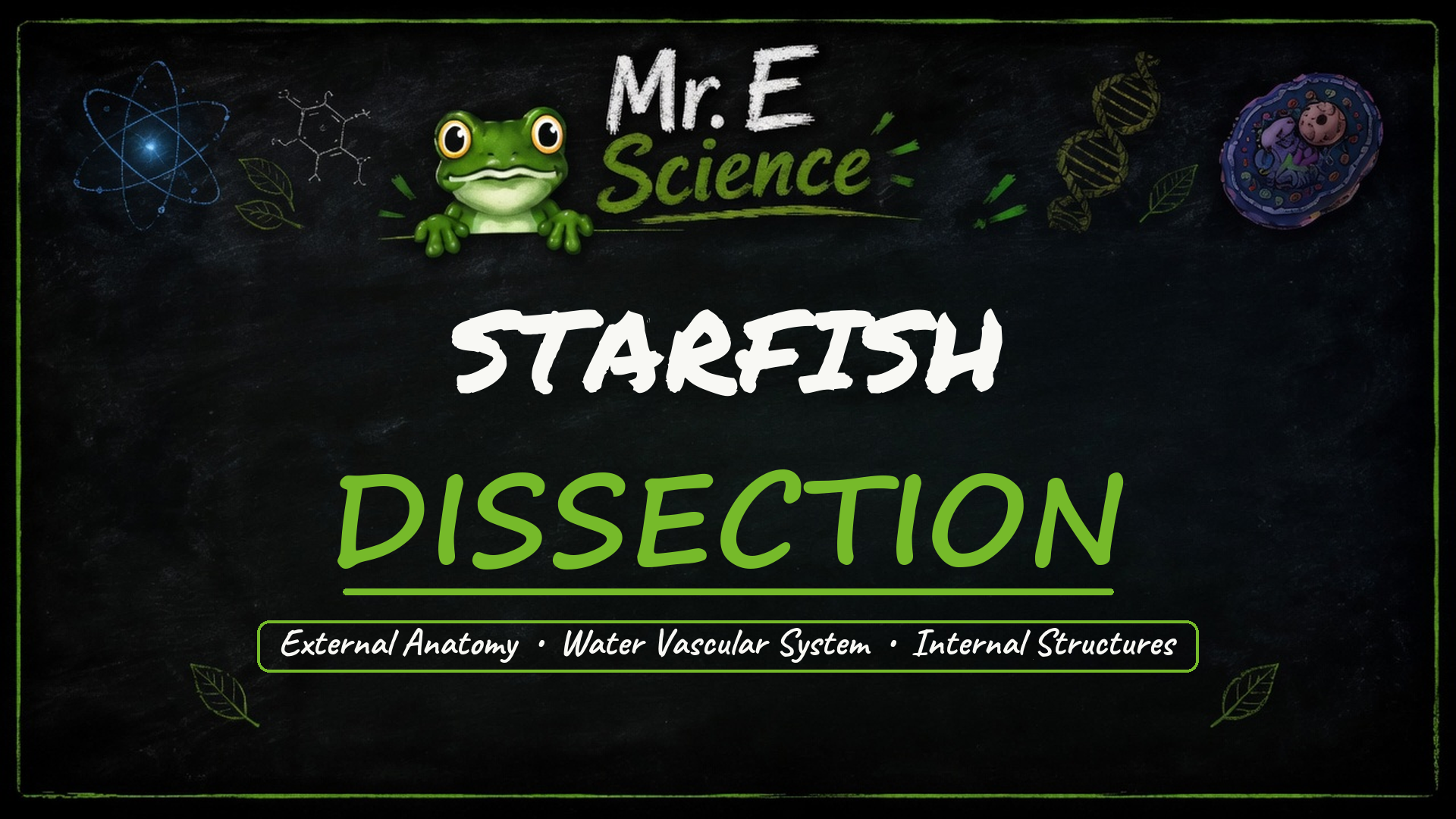 Starfish Dissection title card